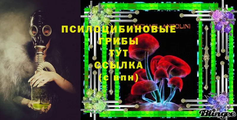 Галлюциногенные грибы Psilocybe  наркошоп  Кашира 